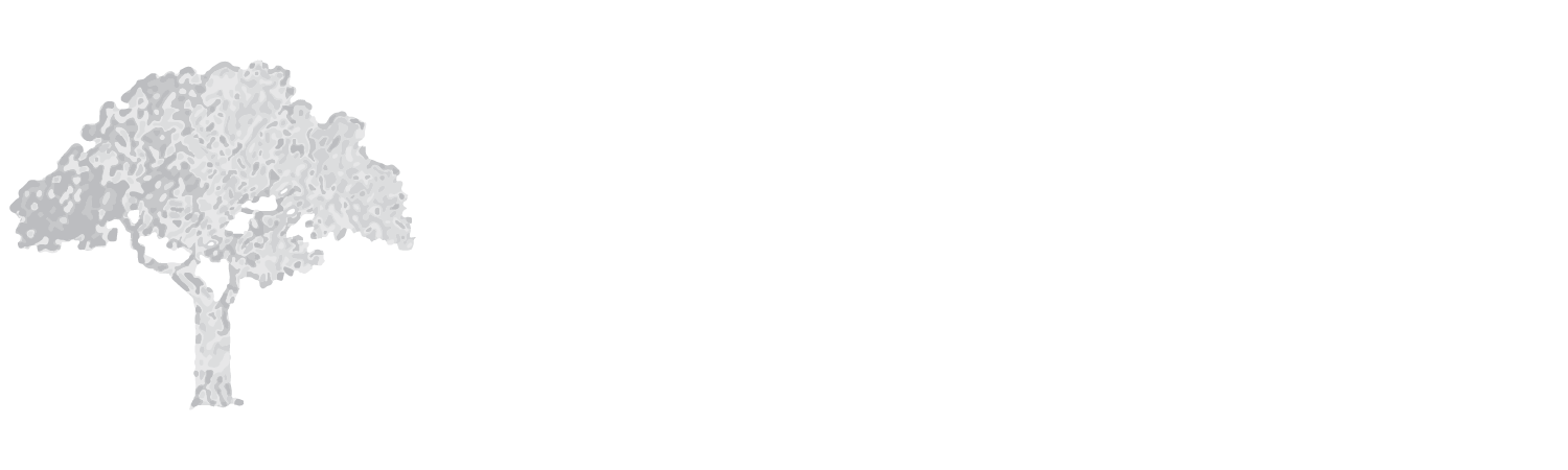 James E. Hughes Foundation