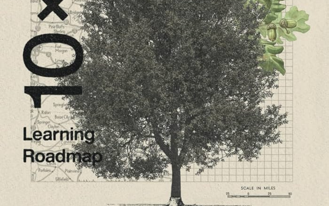 The 10×10 Learning Roadmap